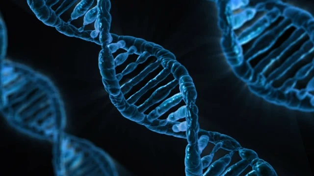 平衡型復合催化劑在聲學泡沫中的吸音性能優化