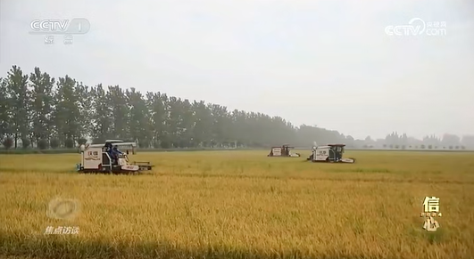 ��ҕ���佭 | ����2024���佭�ήa�����Z�S��