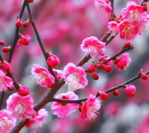 tȦ佭϶ͥ@F"ۼt"ȦCλٓ