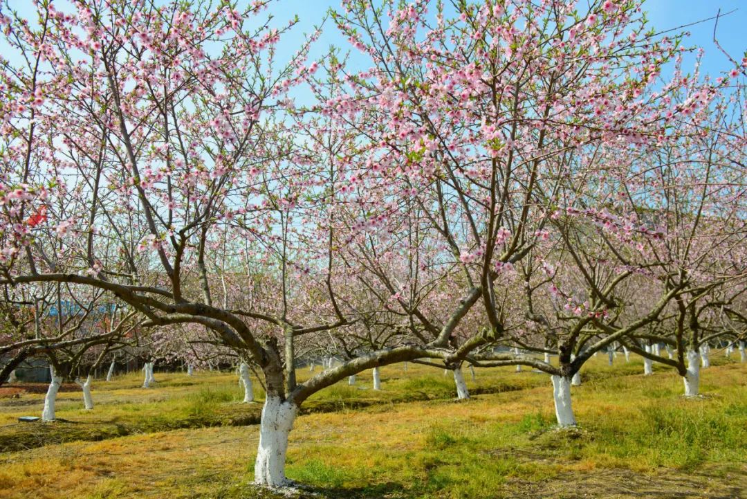 ߲Ͳ˻ۼtһֻĴաײɫɌ뮋